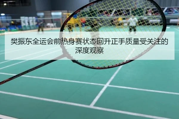 樊振东全运会前热身赛状态回升正手质量受关注的深度观察